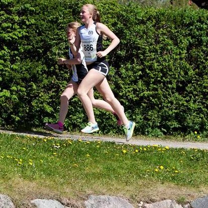 k2016 2.jpg (83518 bytes)